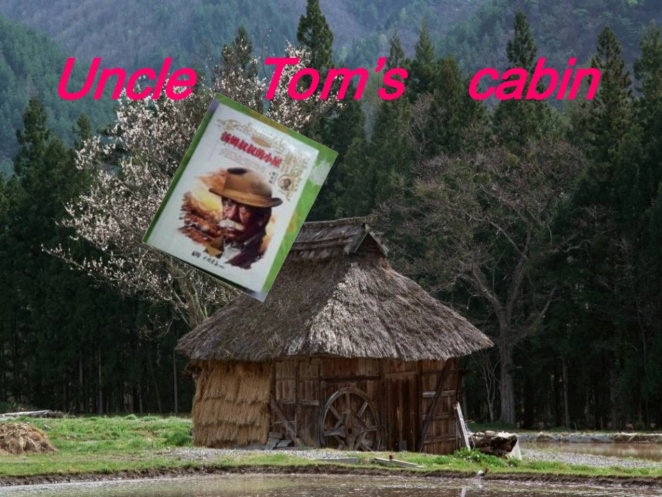 《汤姆叔叔的小屋》读书分享_第1页