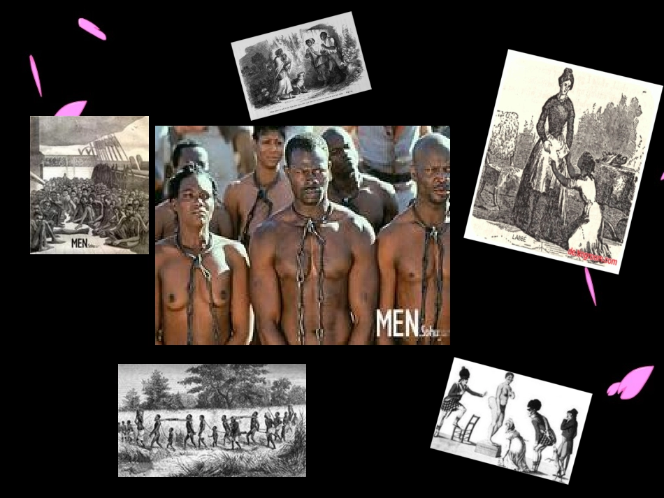 《汤姆叔叔的小屋》读书分享_第2页