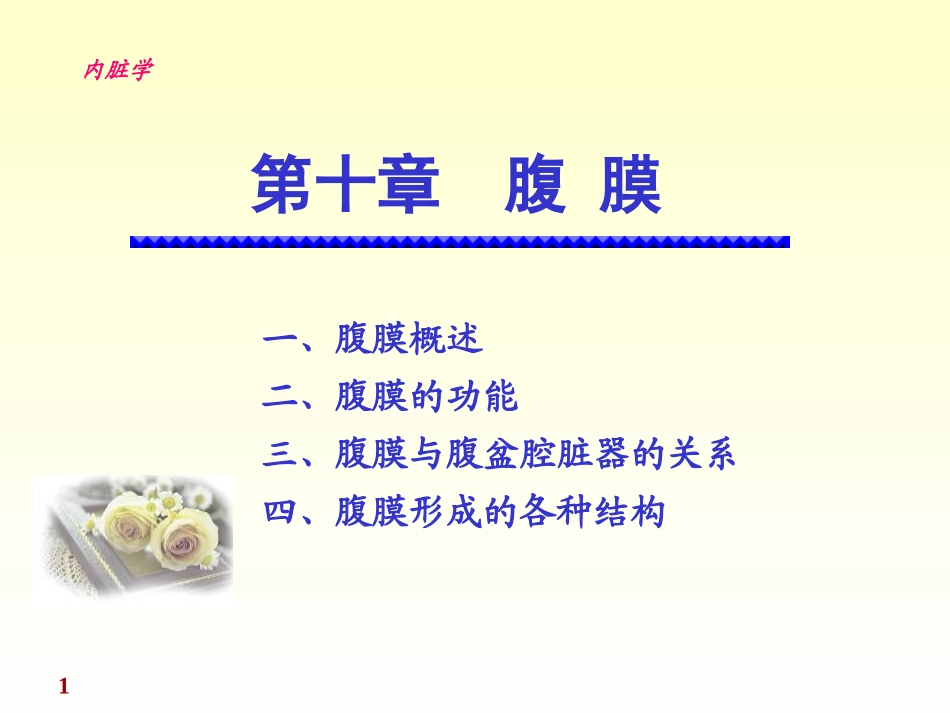 《正常人体解剖学》课件--腹膜_第1页