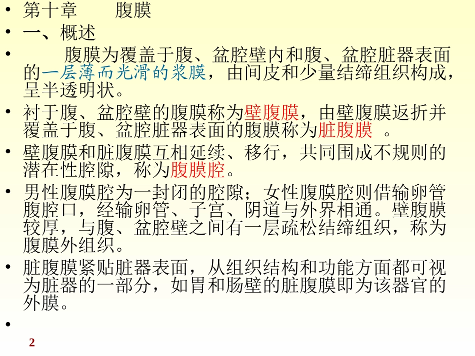 《正常人体解剖学》课件--腹膜_第2页