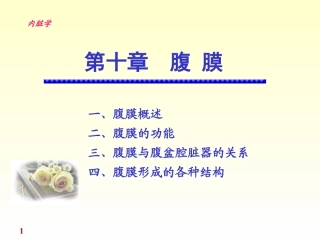 《正常人体解剖学》课件--腹膜