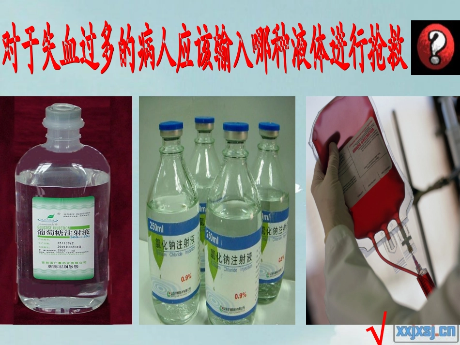 《流动的组织-血液》_第1页