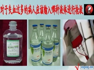 《流动的组织-血液》