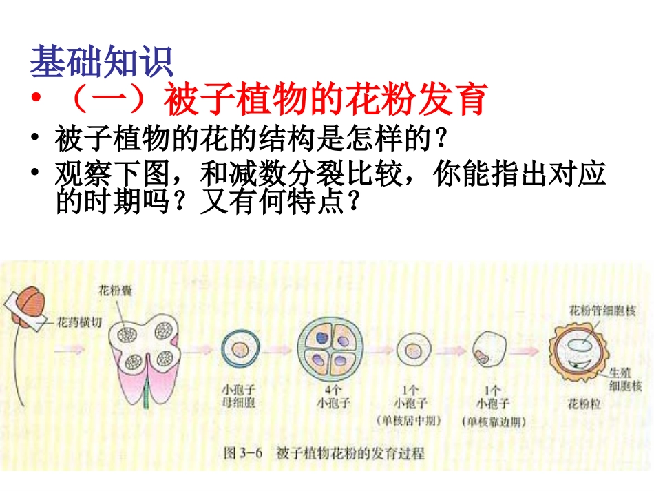 《月季的花药培养》zjc资料_第2页