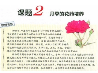 《月季的花药培养》zjc资料