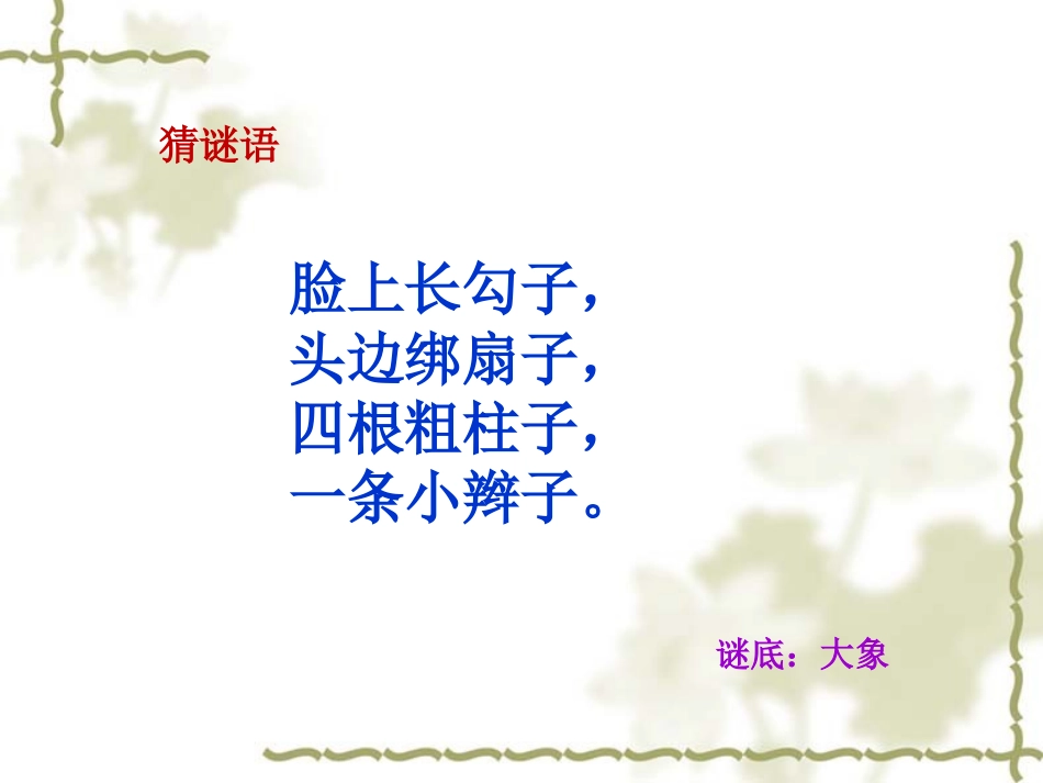 《大象的耳朵》PPT_第2页