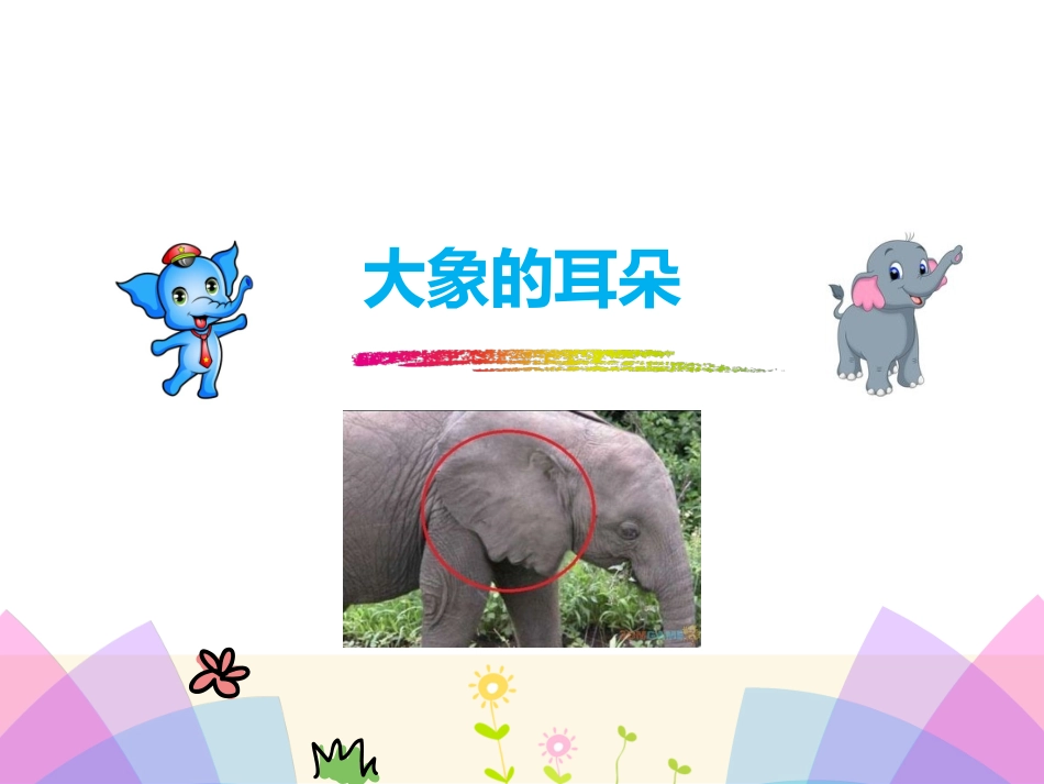《大象的耳朵》_第1页