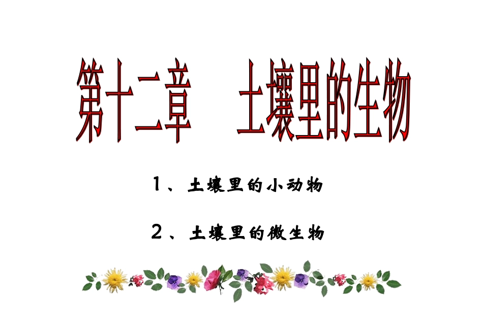 《土壤里的小动物》课件(苏科版七年级下)_第1页