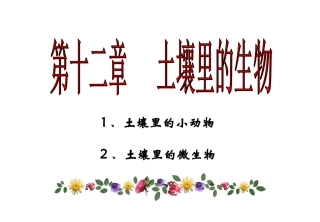 《土壤里的小动物》课件(苏科版七年级下)