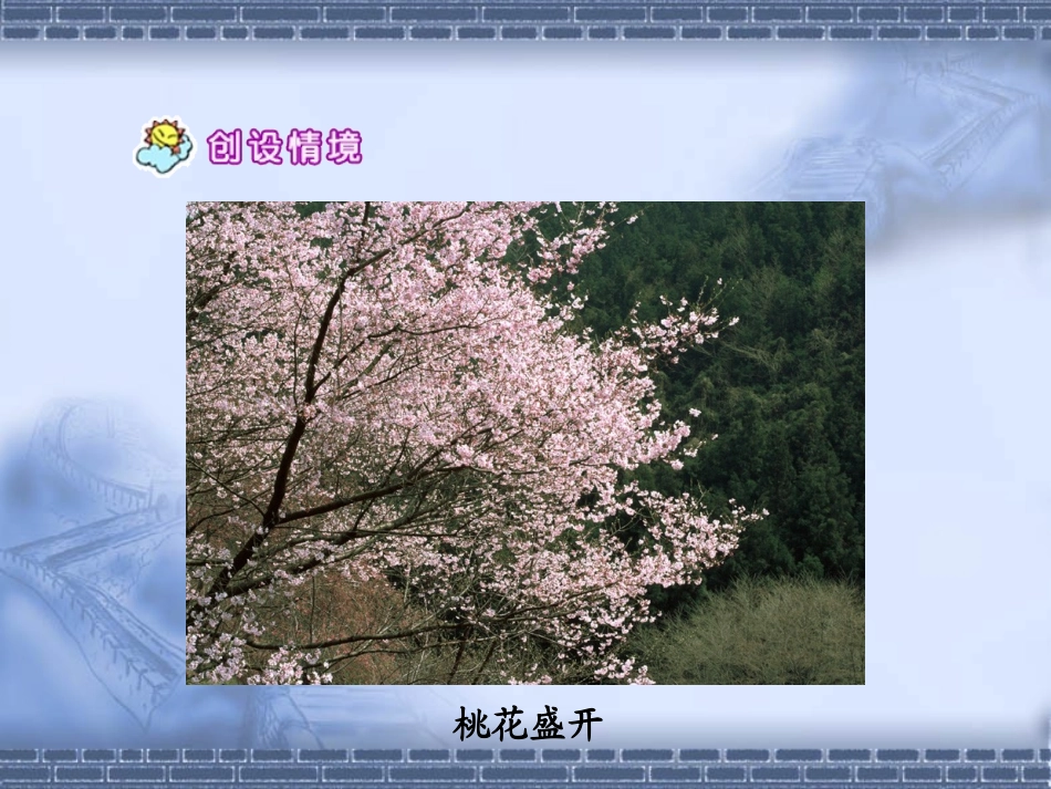 《剪枝的学问》_第2页