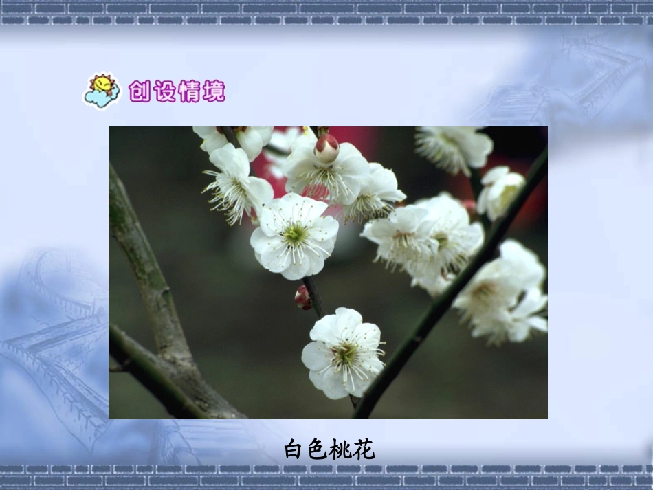 《剪枝的学问》_第3页