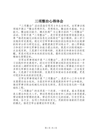 三项整治心得体会