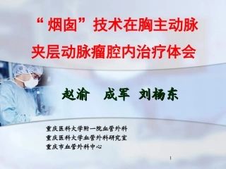 “烟囱”技术在胸主动脉夹层动脉瘤腔内治疗体会_赵渝