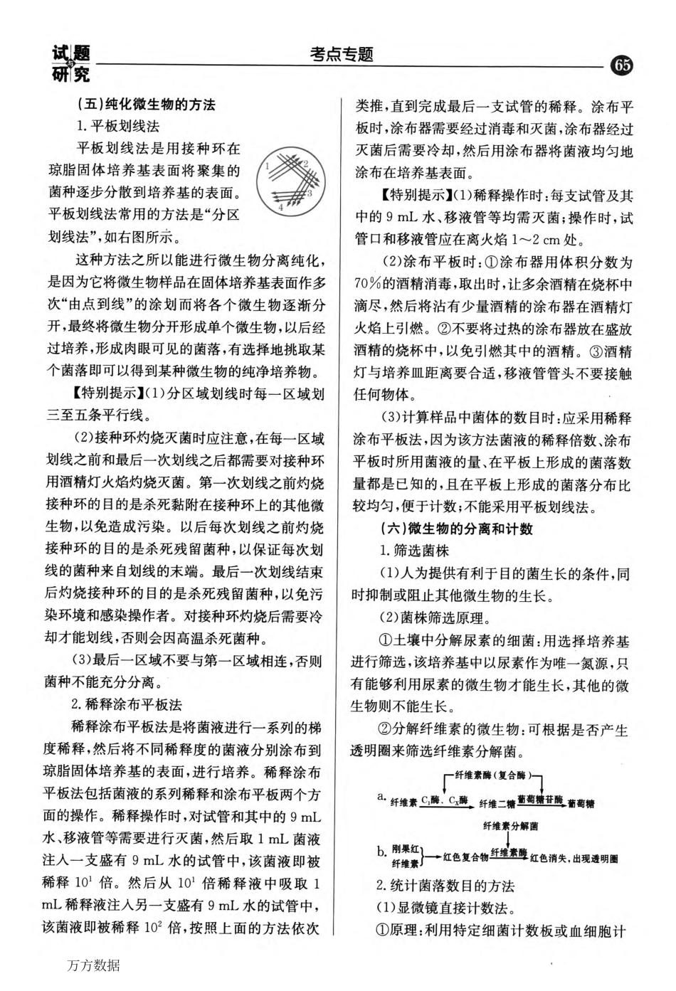 “微生物”专题复习_第3页