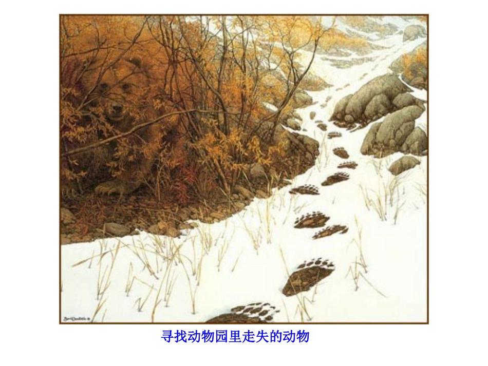 “注意力王国”游历记_梁冬泳_第3页