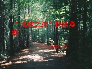 “地球之肺”持续萎缩——森林锐减