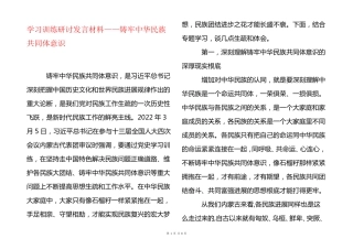 学习教育研讨发言材料——铸牢中华民族共同体意识 
