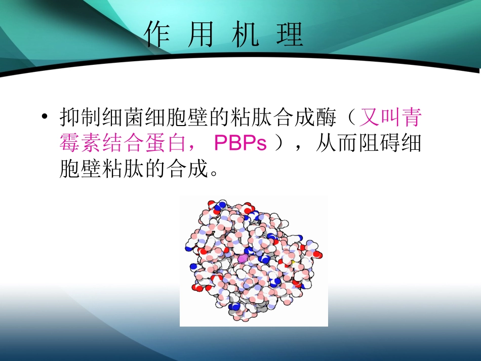 β-内酰胺类抗菌药物_第2页