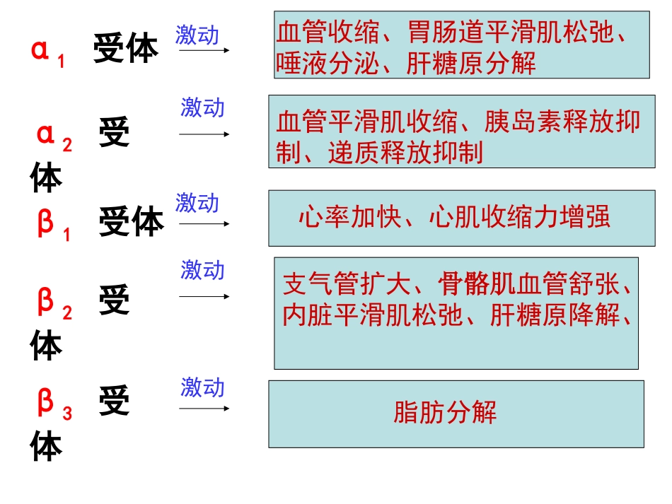 α激动药、β--激动药指导_第1页