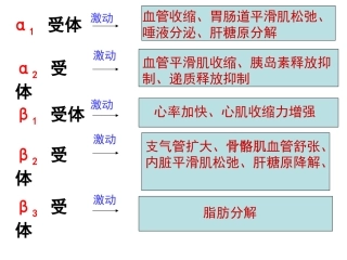 α激动药、β--激动药指导