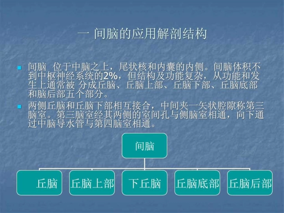 [精品]间脑病变的定位诊.ppt_第2页