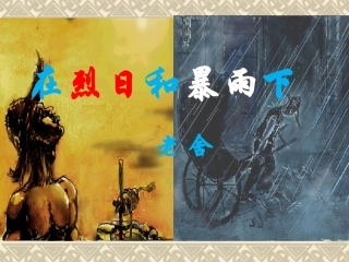在烈日和暴雨下