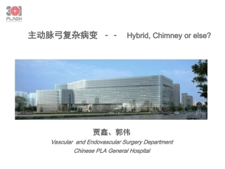 [精品]主动脉弓复杂病变--HybridChmneyorelse