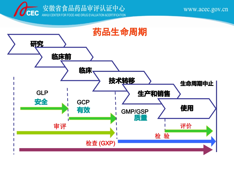[整理后]药品监管技术支撑系_第3页