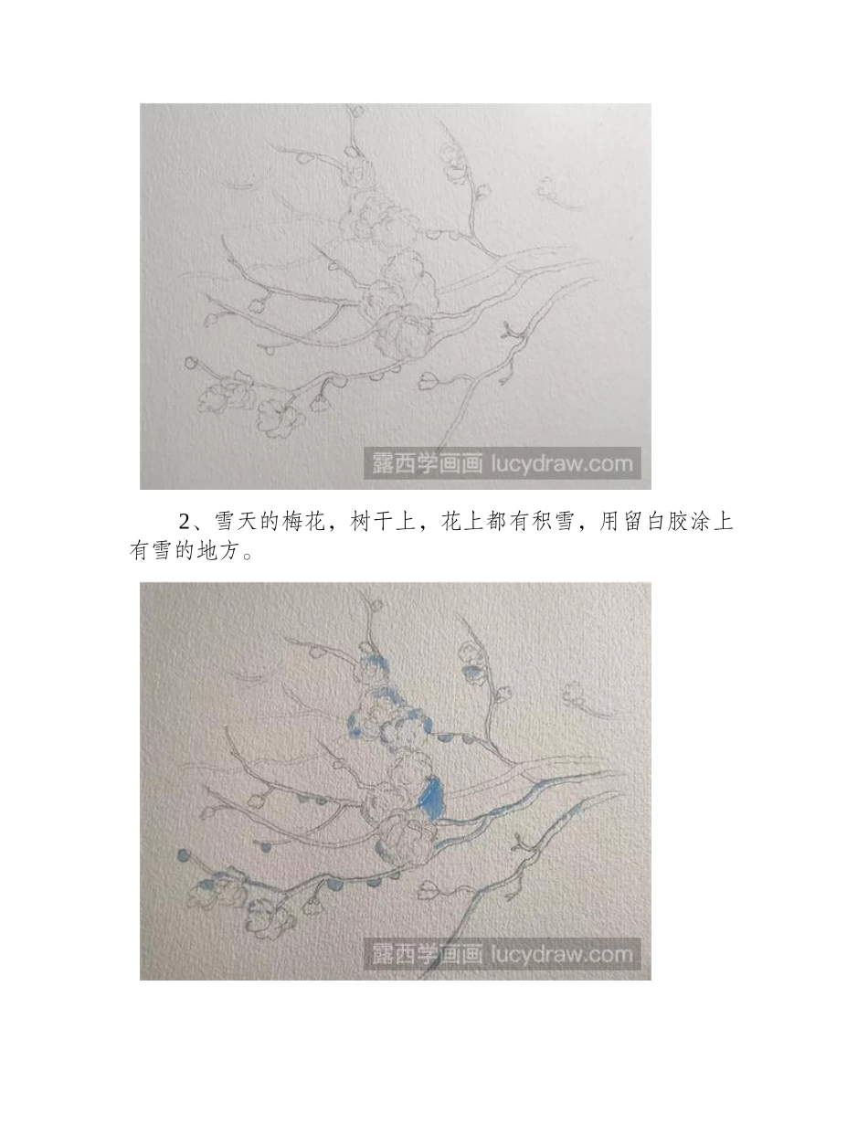 雪梅水彩画如何画_梅花水彩画步骤详解水彩画教程1_第2页