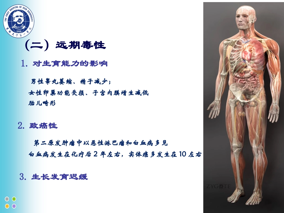 ZCZ-化疗常见毒副反应及处理_第3页