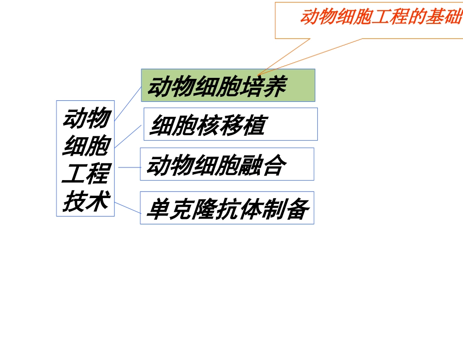 YY动物细胞工程12.ppt_第3页