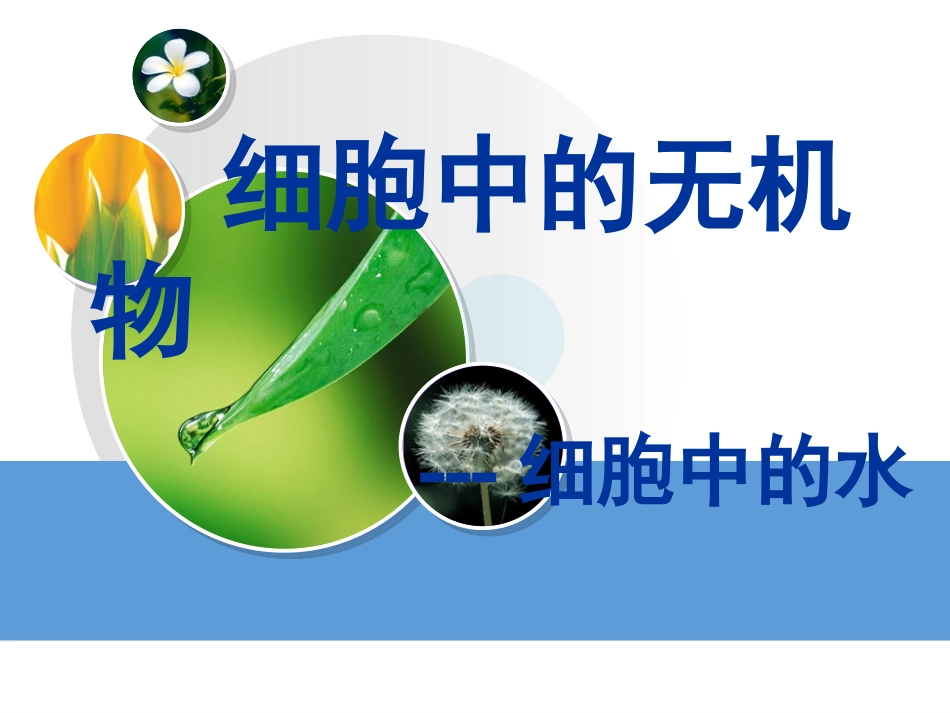 yml细胞中无机物_第1页