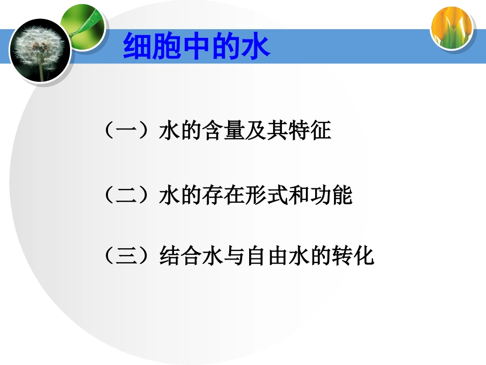 yml细胞中无机物_第3页
