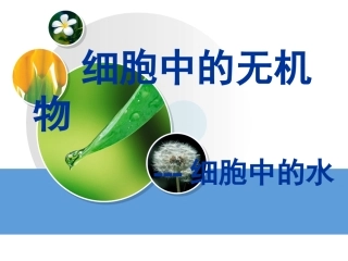 yml细胞中无机物