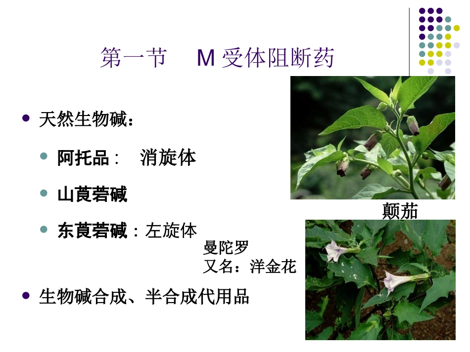 wxr2-2010胆碱受体阻断药_第2页