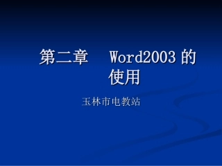 Word2003的使用