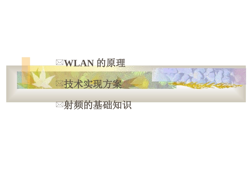 WLAN原理_第2页