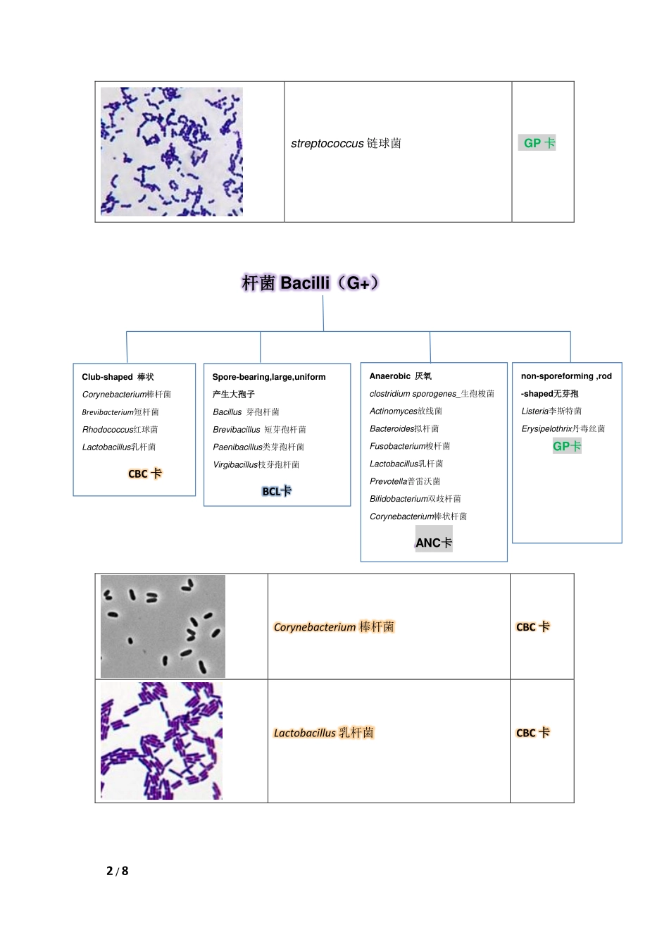 Vitek 2 compact选卡片流程_第2页