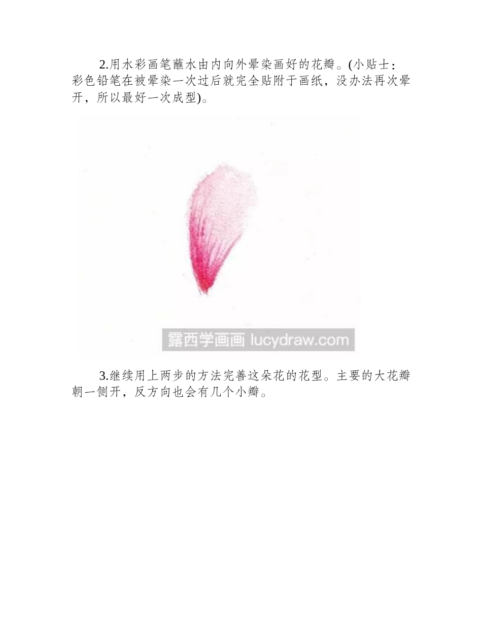 怎么用水溶彩铅退晕法绘制一朵花彩铅画教程2_第2页