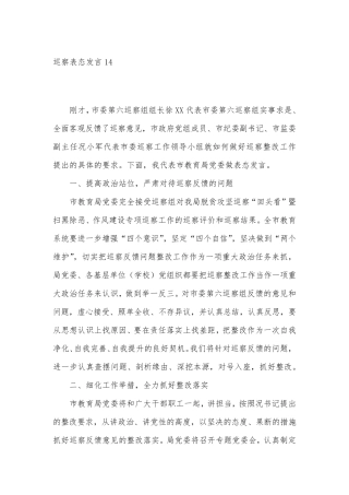 巡察表态发言14 