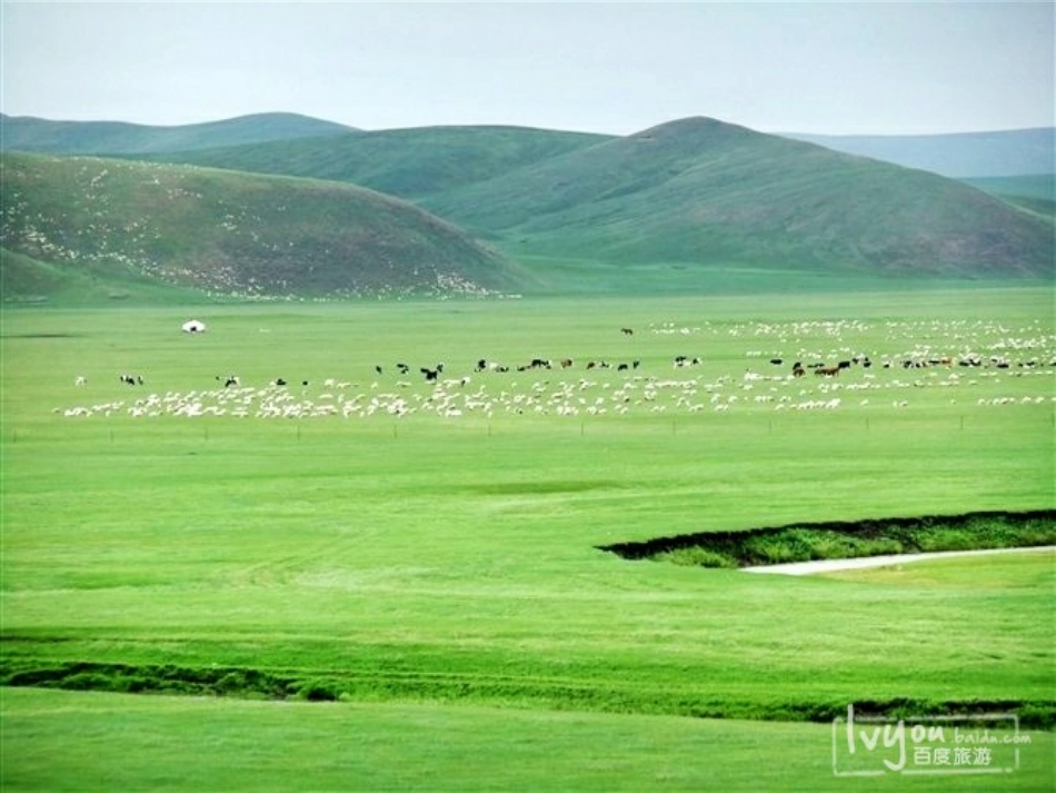 我是草原小骑手课件_第2页