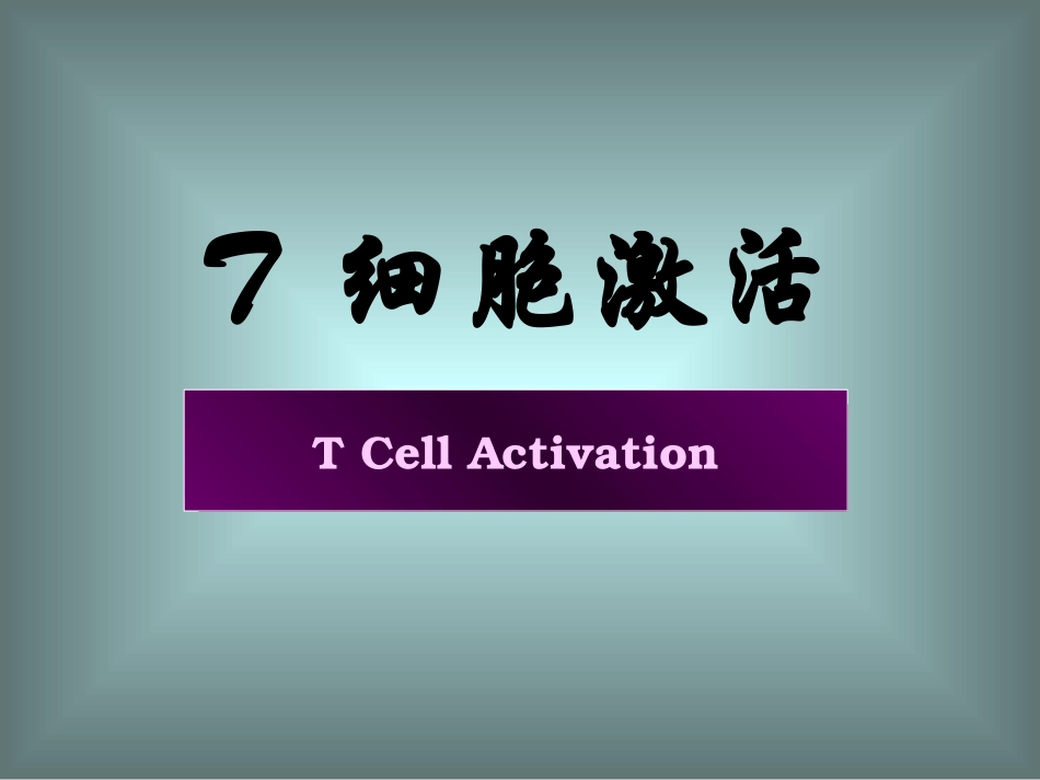 T-细胞激活_第1页