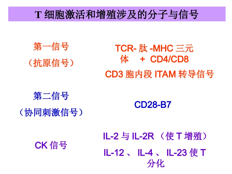 T-细胞激活_第3页