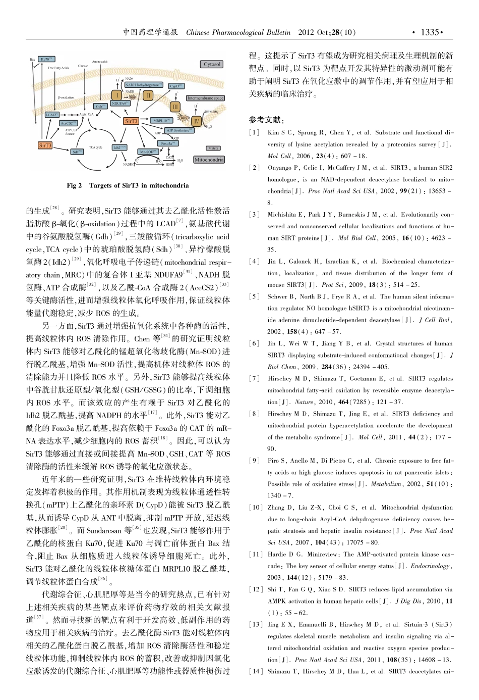 SirT3调节氧化应激作用_第3页