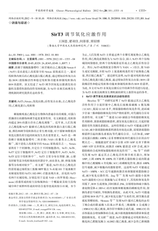 SirT3调节氧化应激作用