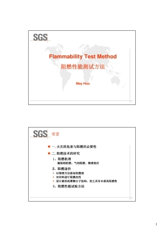 SGS燃烧标准
