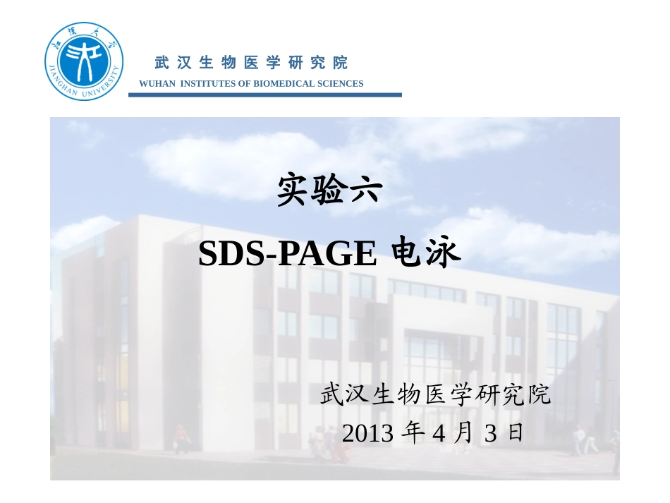 SDS-PAGE电泳_第1页