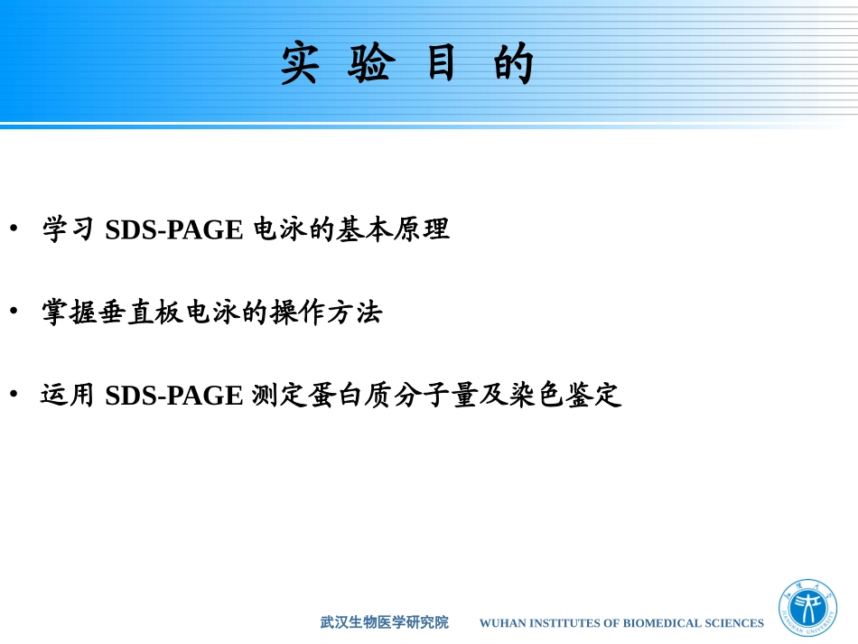 SDS-PAGE电泳_第2页