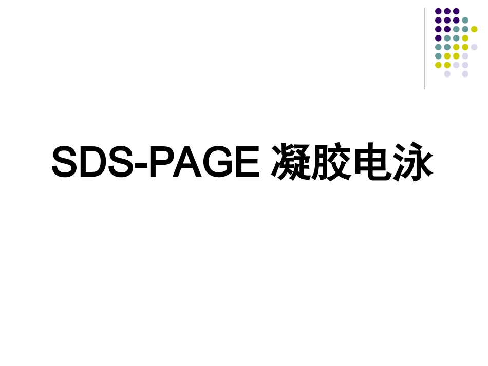 SDSPAGE凝胶电泳2_第1页