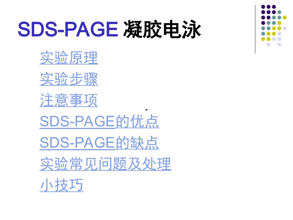 SDSPAGE凝胶电泳2_第2页